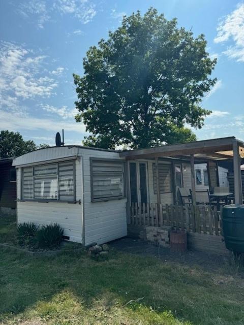 Chalet Quattro In Bosrijke Omgeving Anloo المظهر الخارجي الصورة